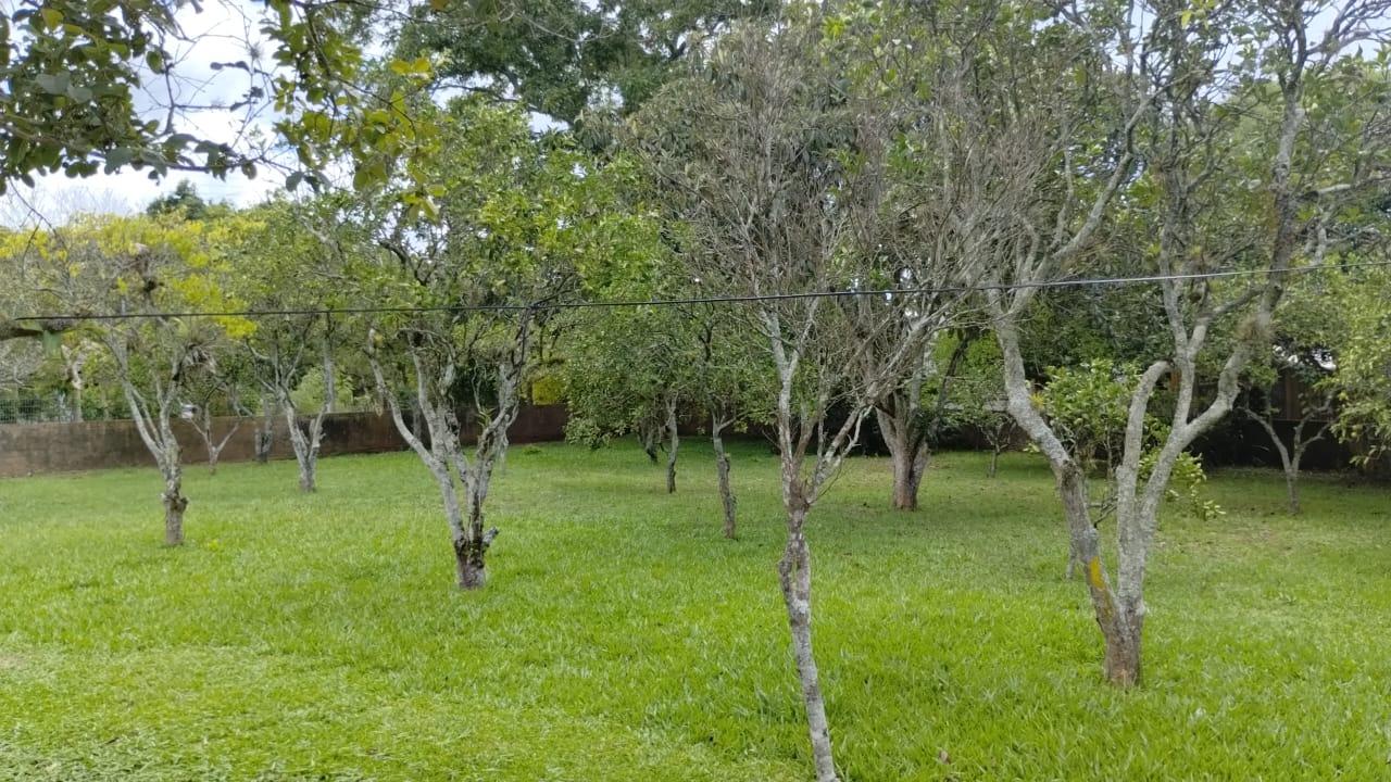 Terreno à venda, 500m², Pedras Brancas - Guaíba