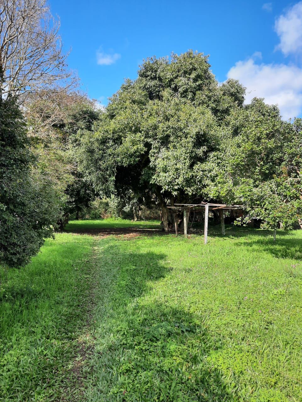 Terreno à venda, 2m², Centro - Guaíba