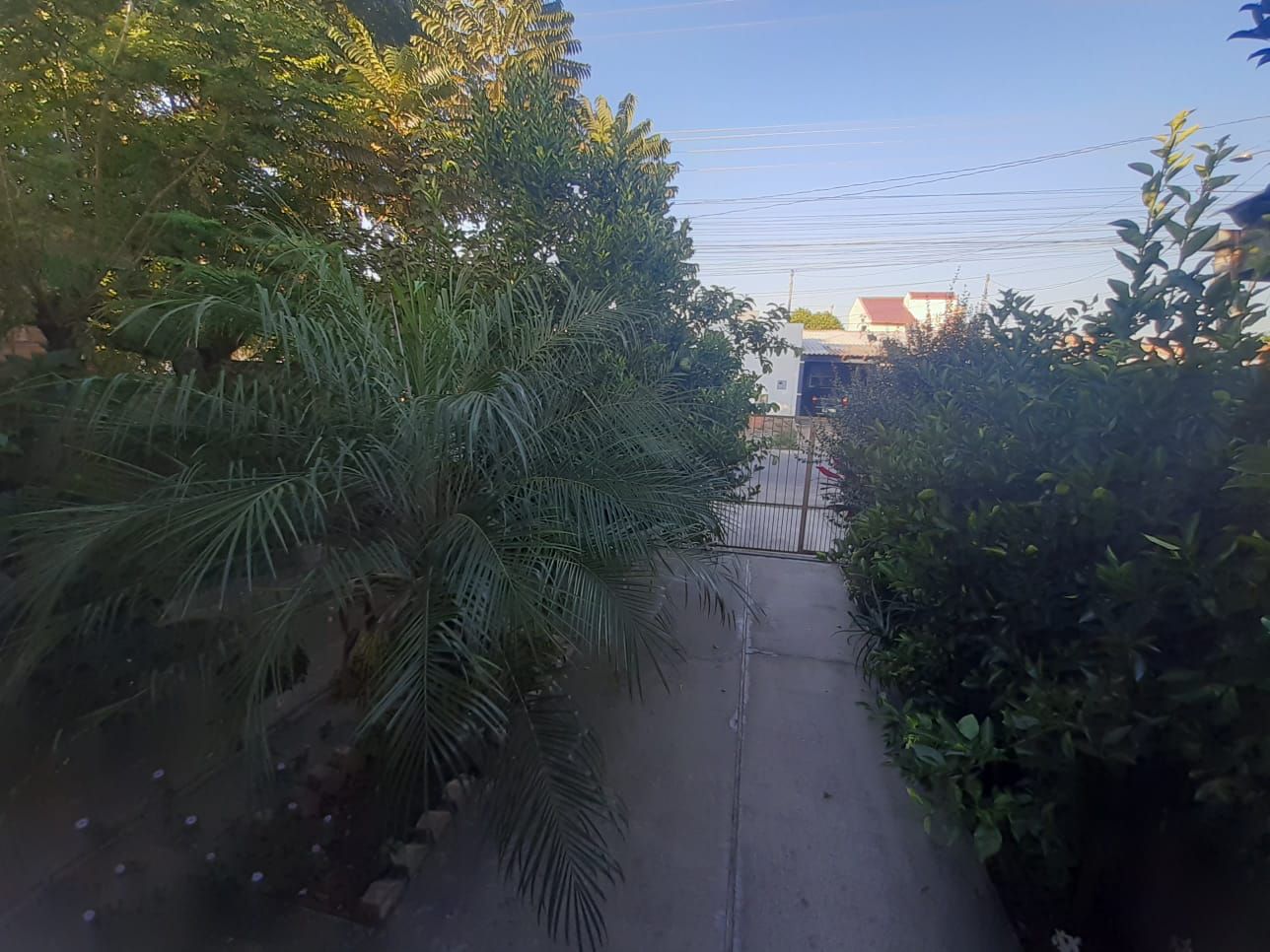 Casa 2 quartos à venda, 50m², Centro Novo - Eldorado do Sul