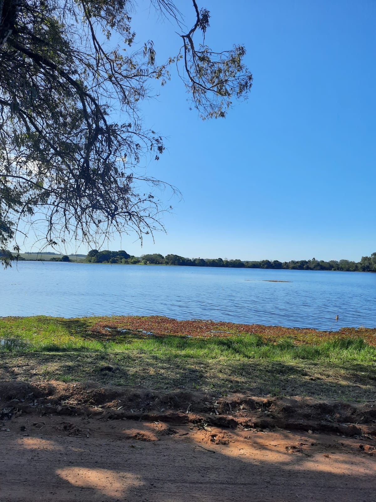 Terreno à venda, 30m², Pedras Brancas - Guaíba