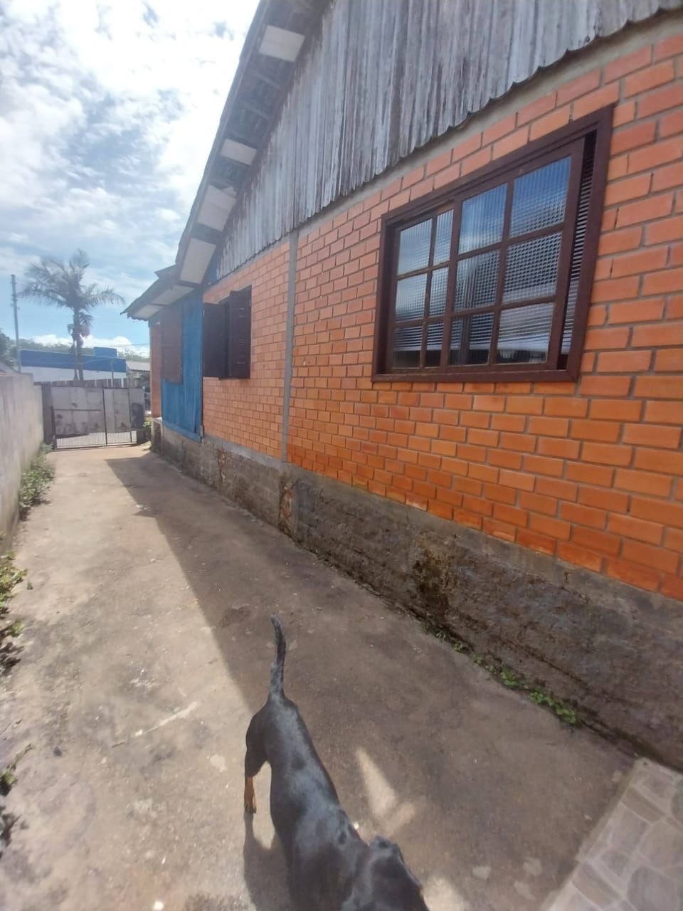 Casa 3 quartos à venda, 79m², Colina - Guaíba