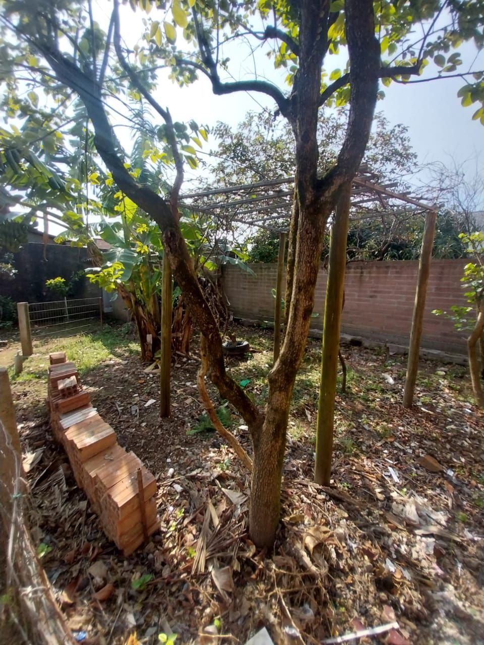 Casa 3 quartos à venda, 140m², Alegria - Guaíba