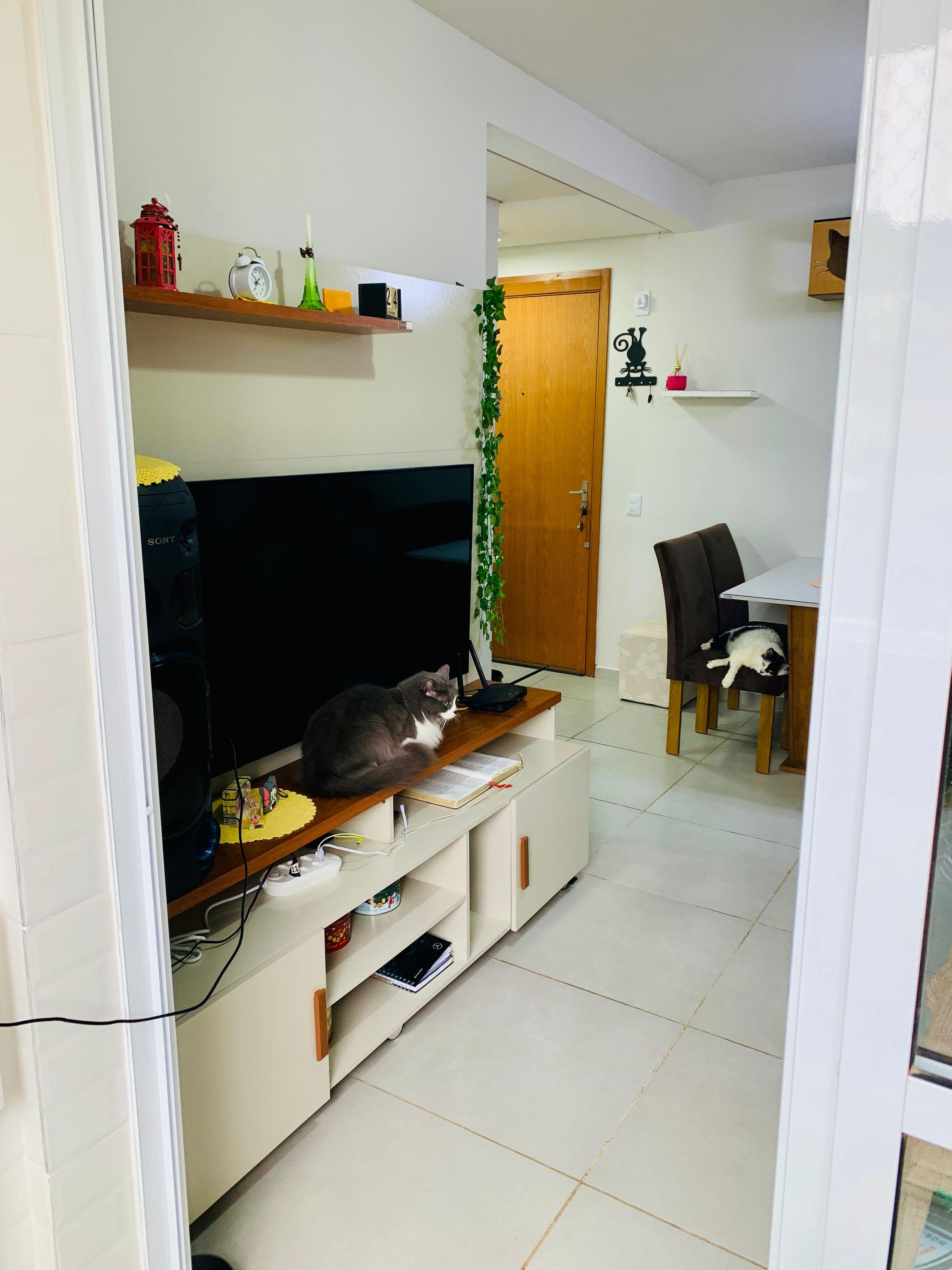 Apartamento 2 quartos à venda, 56m², Santa Rita - Guaíba
